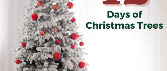 The 12 Days of Christmas Trees Recap