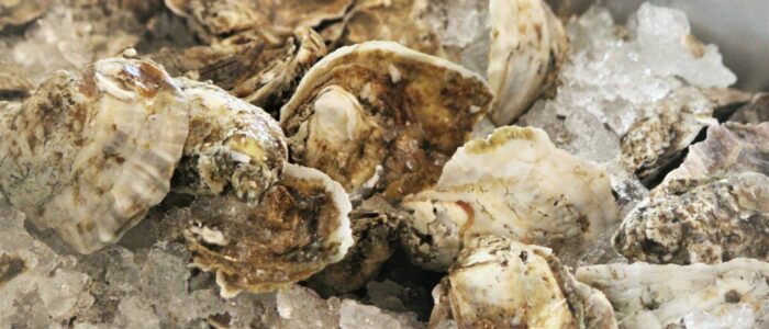 Jen In The Kitchen: Baked Oysters (No Shucking Required!)